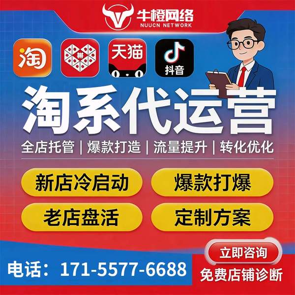 邵阳电商代运营