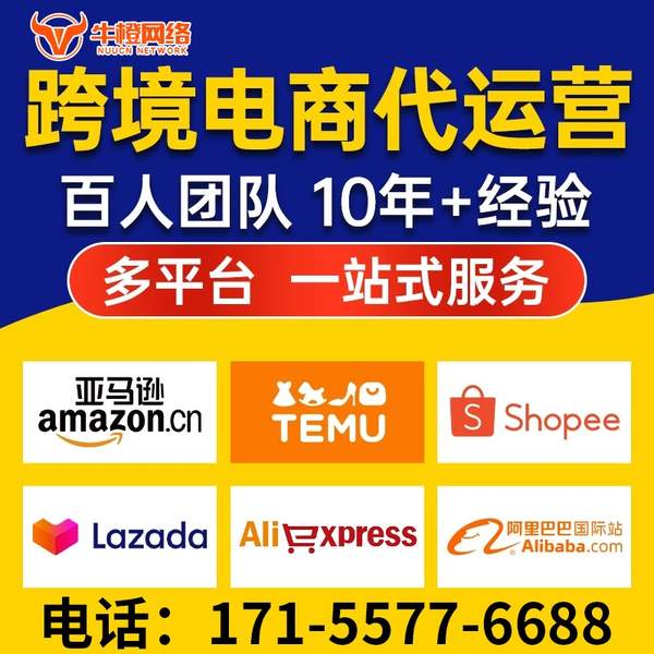 邵阳电商代运营