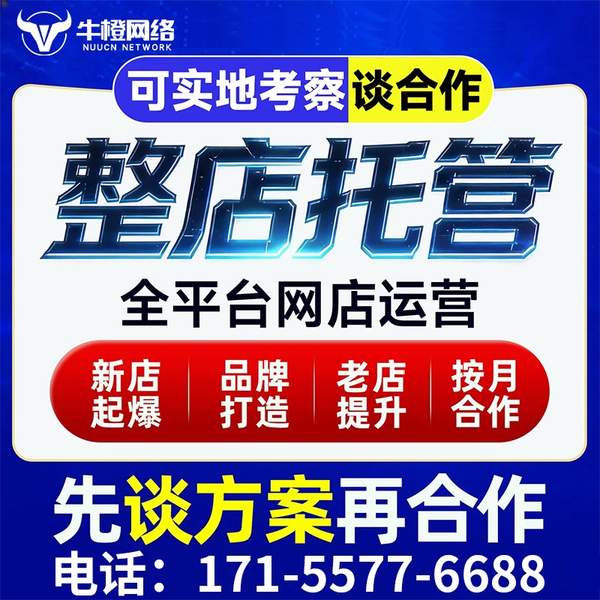 邵阳电商代运营