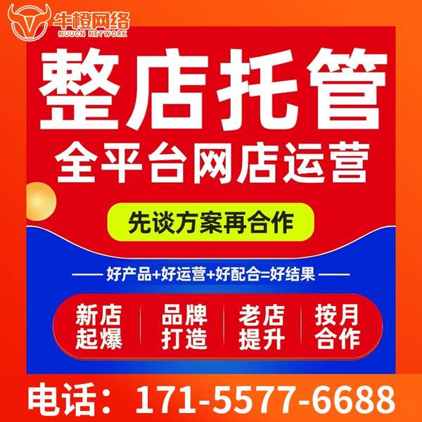 邵阳电商代运营
