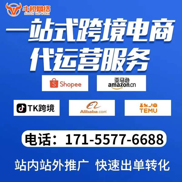邵阳电商代运营
