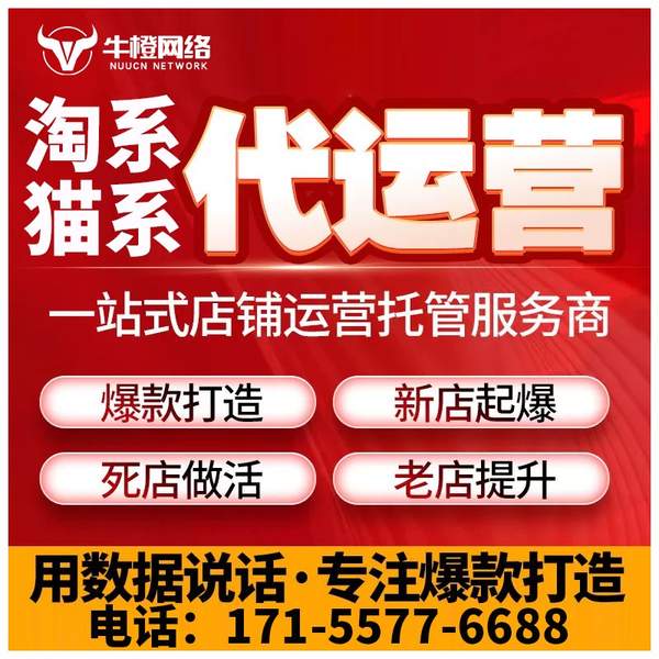 邵阳电商代运营